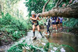 BIB: 
                            <button type="button" onclick="openModal(25515786)" class="btn btn-primary btn-sm float-right btn-popup" data-toggle="modal" data-target=".modal-high-quality">
                        <i class="fas fa-shopping-cart"></i> Add to Cart
                    </button>
                                            <button type="button" onclick="isThisMe(25515786, true)" class="btn btn-success btn-sm float-right btn-popup btn-isme hidden" data-toggle="tooltip" data-placement="bottom" title="นี่คือรูปของคุณใช่ไหม คลิกที่นี่เพื่อเอาเข้าอัลบั้ม">
                        <i class="fas fa-plus"></i> Add to album
                    </button>
                    <button type="button" onclick="isThisMe(25515786, false)" class="btn btn-warning btn-sm float-right btn-popup btn-isnotme hidden">
                        <i class="fas fa-ban"></i> Remove from album
                    </button>